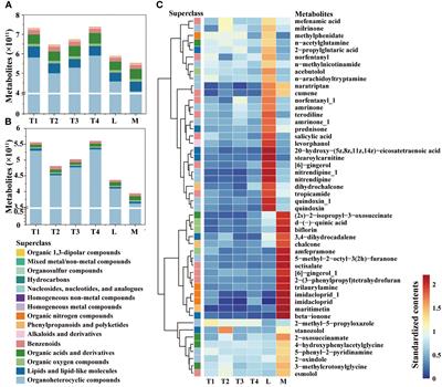 Enhancing the quality of fermented plant leaves: the role of metabolite signatures and associated fungi
